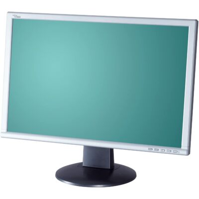 Fujitsu ScaleoView L19W-5 W9ZA 19" Wide LCD monitor