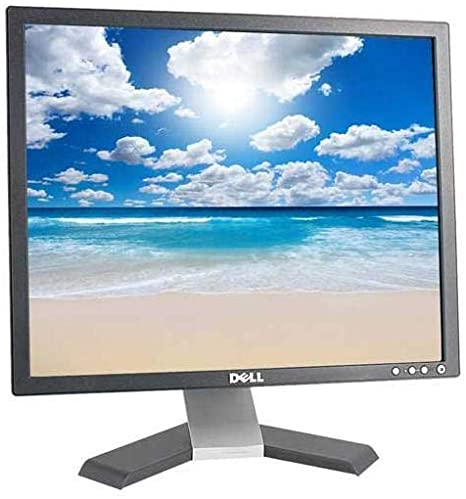 Dell E198FPt 19