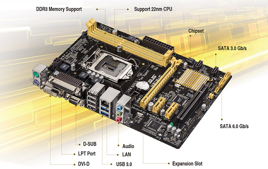 Asus H81M-C s1150 alaplap