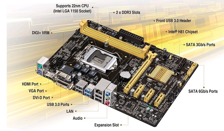 Asus H81M-Plus s1150 (HDMI) alaplap